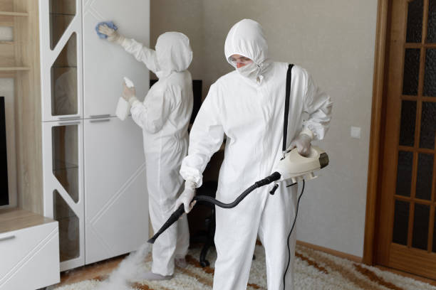 24/7 Emergency Odor Removal experts in Garland, UT
